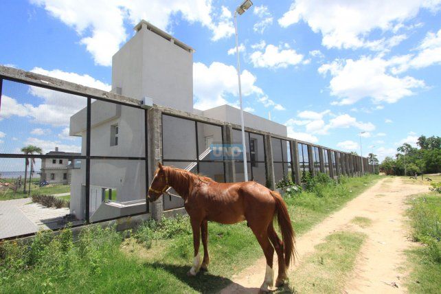 El caballo quedó del otro lado del paredón en el barrio Los Arenales. Foto <b> UNO</b> archivo.