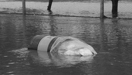 El tacho con residuos peligrosos en el agua. Foto Leonardo Guevara. 