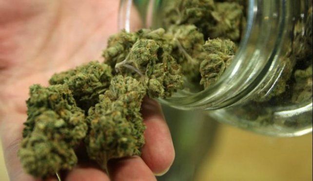 <div><div> El hombre alegó haber sido