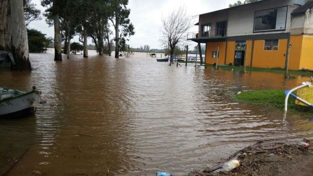 La afirmación que nadie quiere escuchar en Concordia: Volvió a subir el río. Gentileza José Luis Almirón