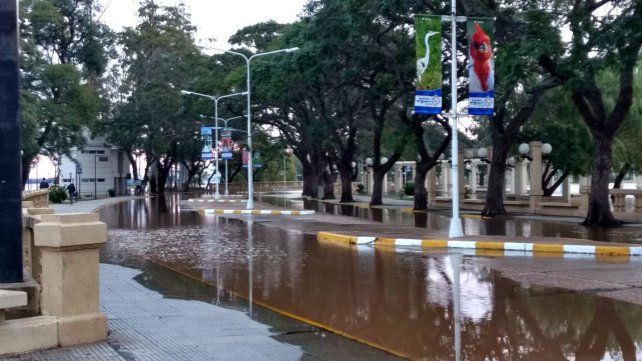 Foto gentileza Silvia Nalivaiko.