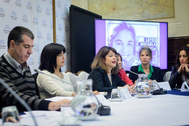 Las leyes Micaela buscarán frenar la Vioelncia de Género.