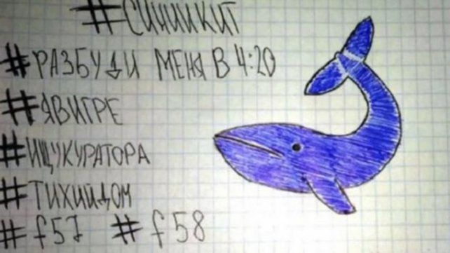 <b> Suicidios colectivos.</b> Habría una organización que instigaba a las autoeliminaciones en todo el mundo.