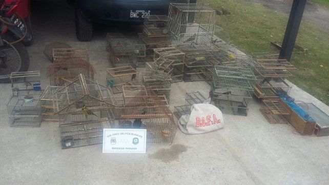 <b> Destrucción</b>. Las jaulas incautadas fueron inutilizadas.