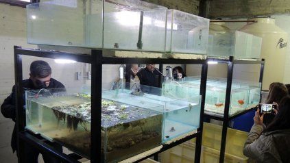 Espacios. La inversión estuvo a cargo del gobierno provincial y del municipio de Diamante.