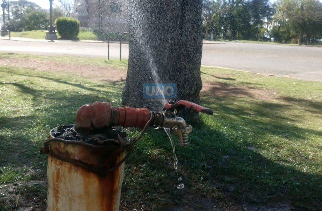 Otra canilla que pierde agua en el Parque Urquiza. Foto UNO. 