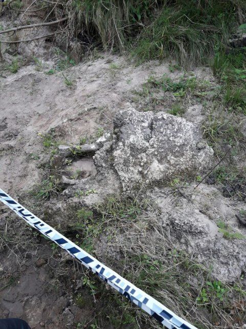 Edad cuaternaria. La mulita gigante podría llegar a tener uno 10.000 millones de años.